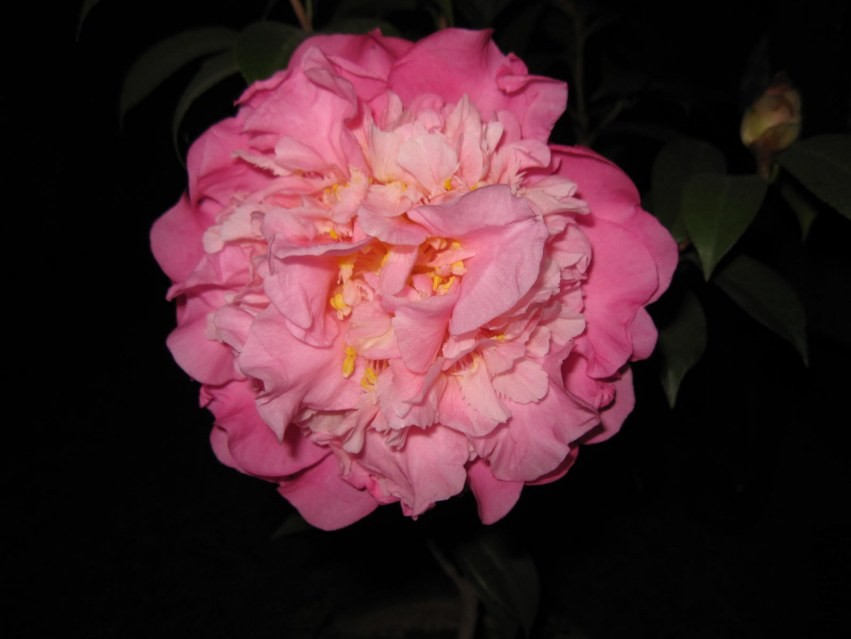 ɽ��֮�� (31).JPG