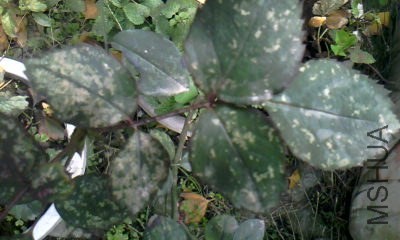 20131217_1218_2.jpg