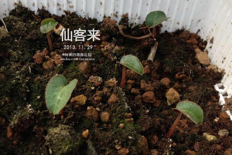 �ɿ���2013_1129_162107.jpg