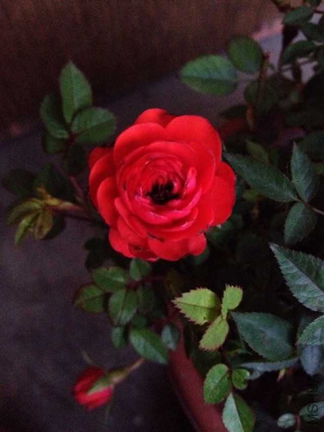 QQͼƬ20131218100643.jpg
