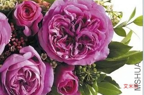 ������ _����.jpg