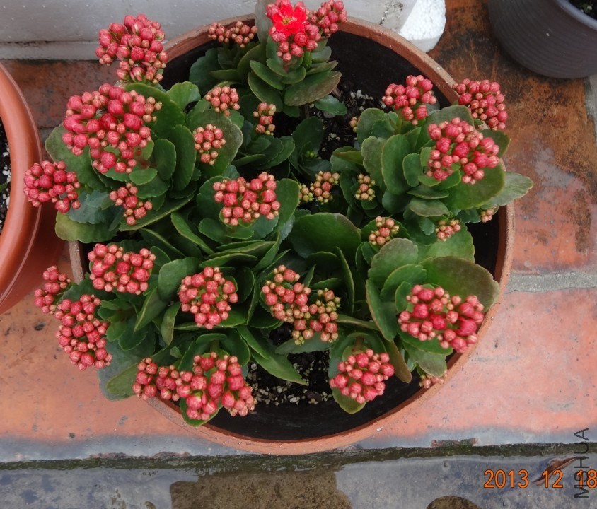 QQ��ͼ20131218164258.jpg