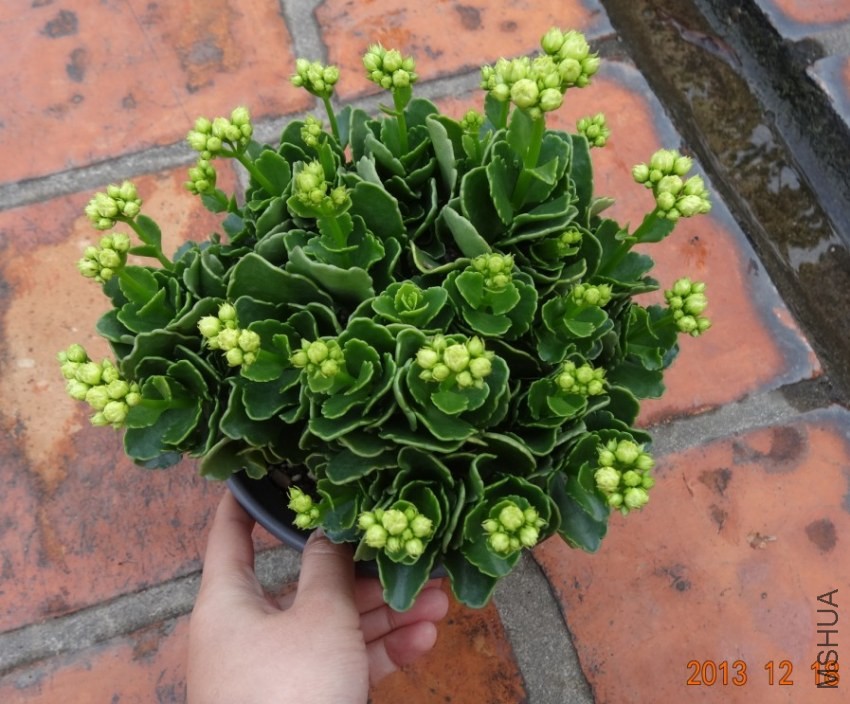 QQ��ͼ20131218164129.jpg