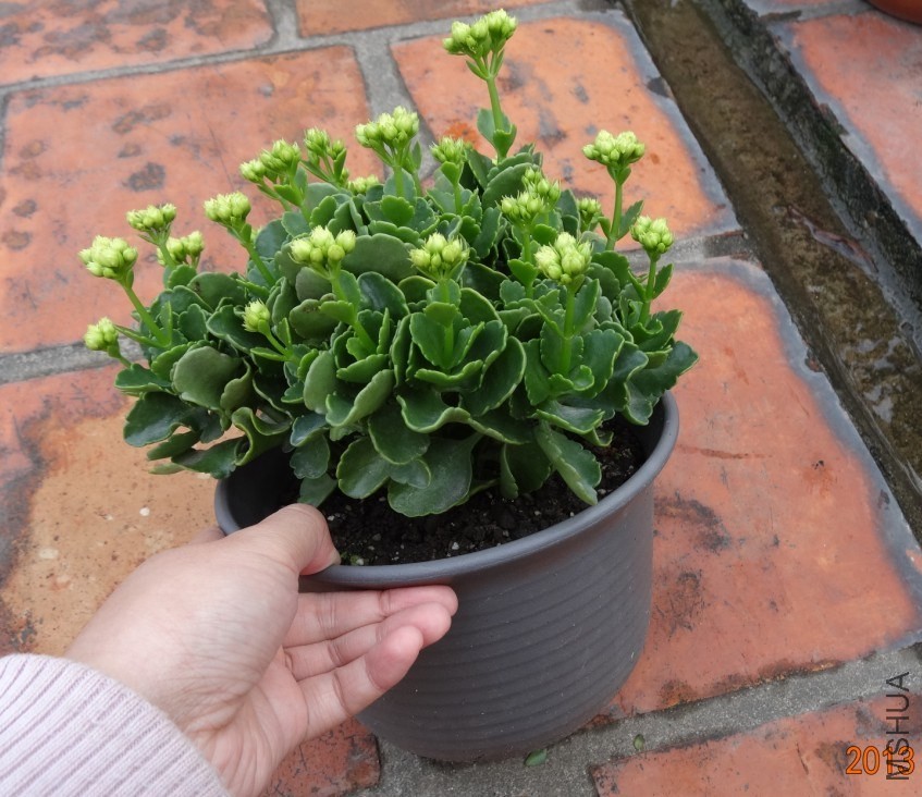 QQ��ͼ20131218164141.jpg