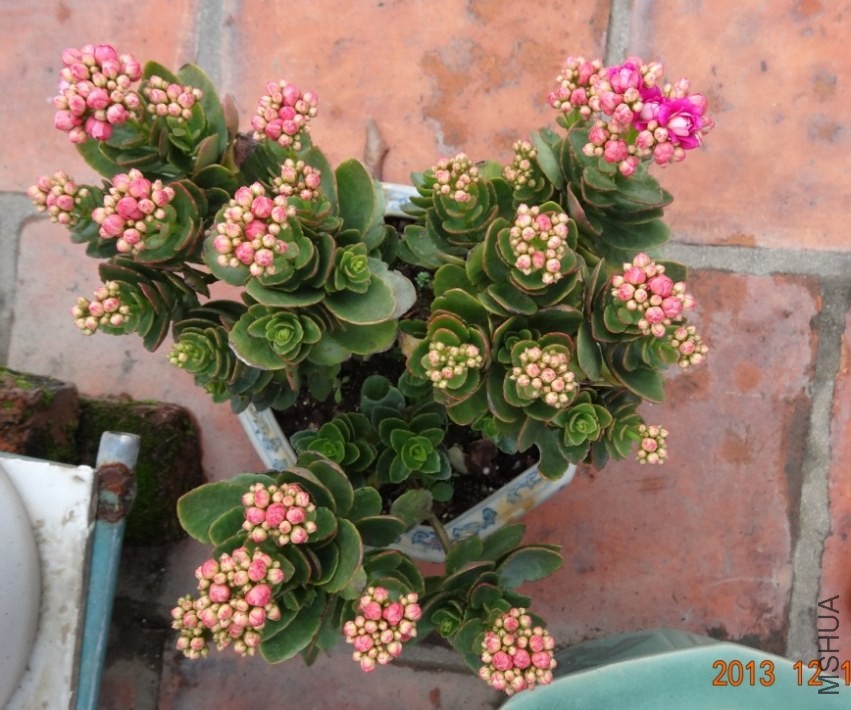 QQ��ͼ20131218164221.jpg