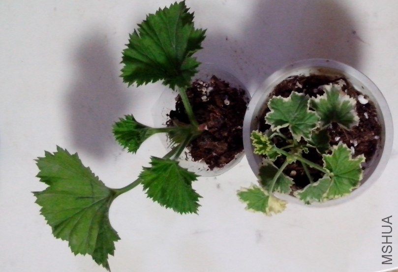 QQ��ͼ20131218200338.jpg