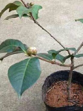 2013-12-18 21.49.07.jpg