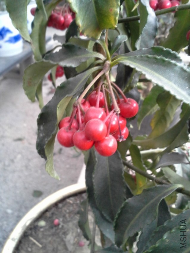 20131215_144900.jpg