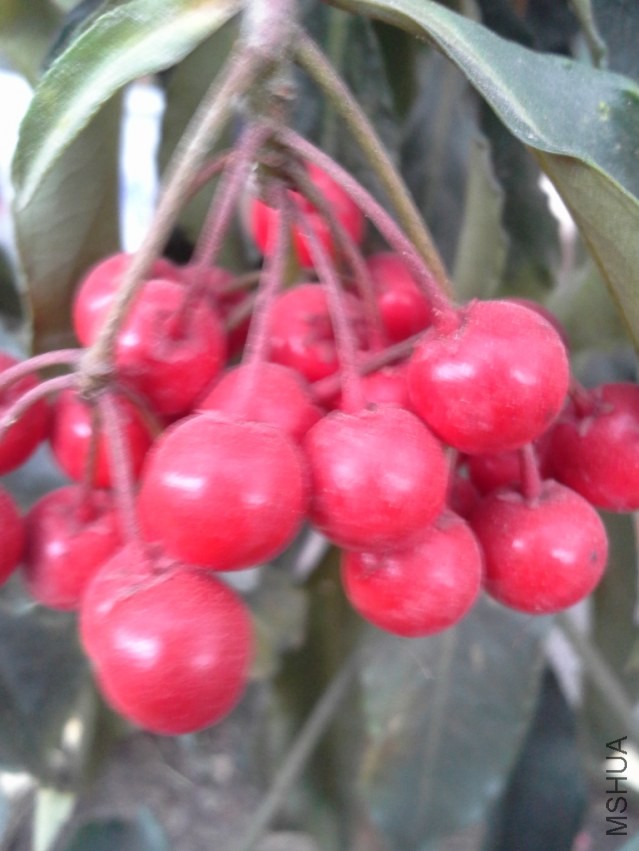 20131215_144914.jpg