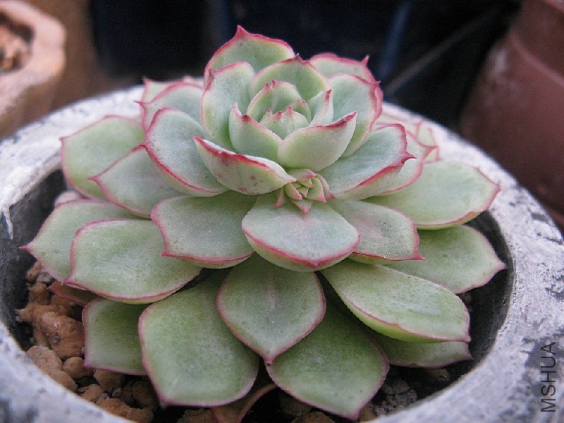 QQͼƬ20131220221805.jpg