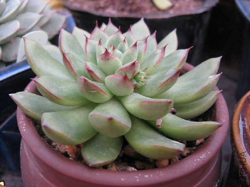 QQͼƬ20131220221748.jpg
