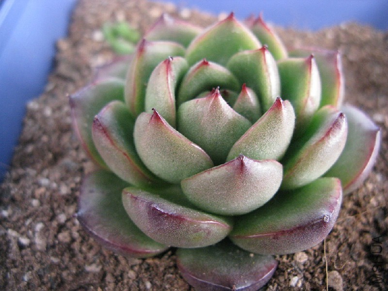 QQͼƬ20131220221847.jpg