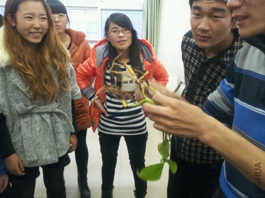 3C7D8D43917EC3E3EC8020A95A01F5A4.jpg
