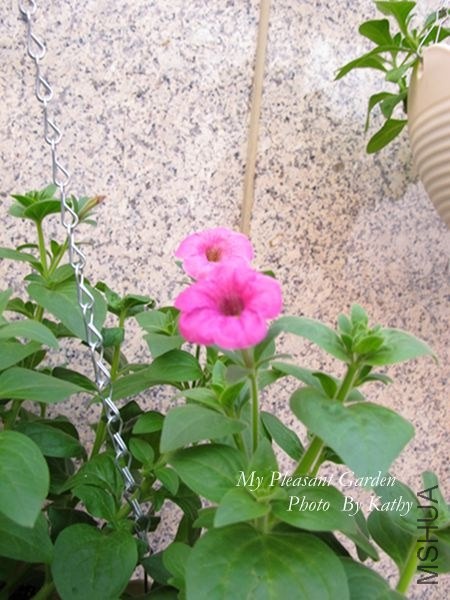 ��Ƭ 036_����.jpg