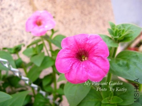 ��Ƭ 037_����.jpg