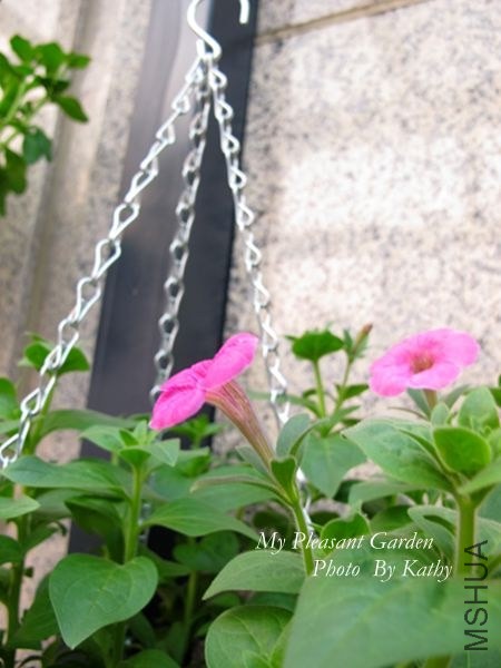 ��Ƭ 039_����.jpg