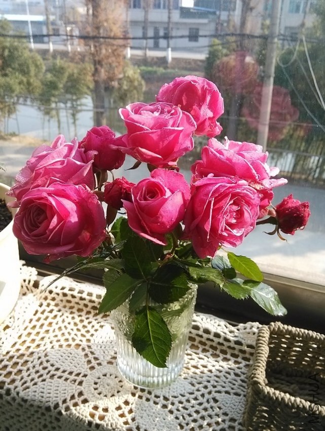 ��Զ����̩��5.jpg