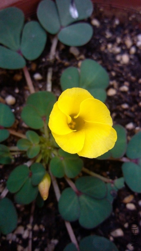 IMG_20131123_095837.jpg