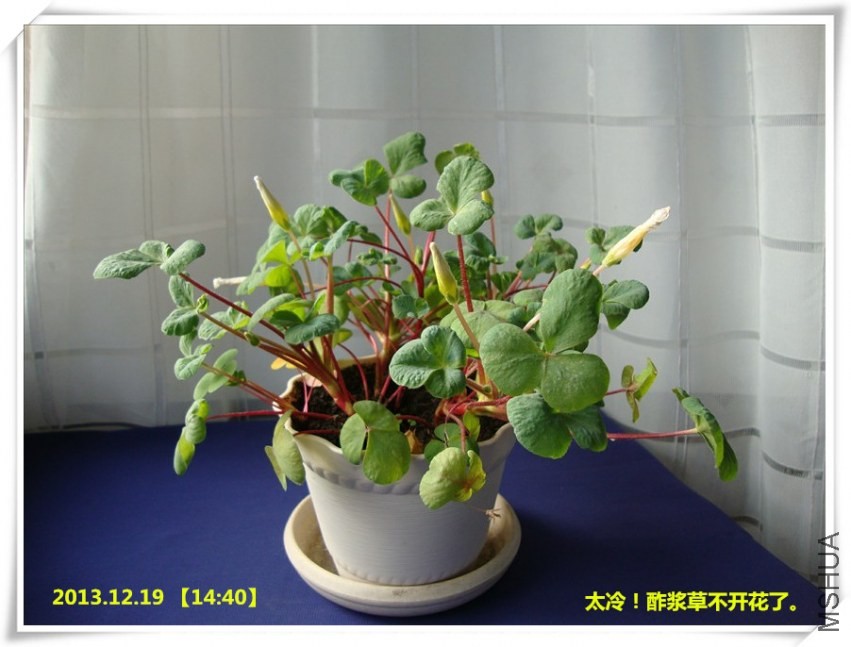 DSC07462.JPG
