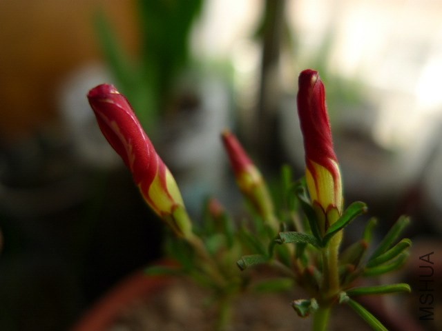 P1080963.JPG