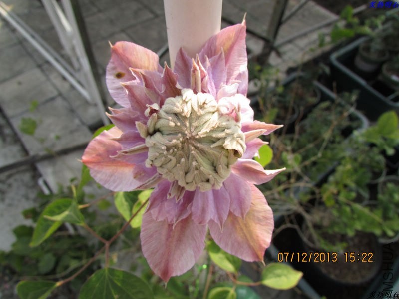 IMG_0544_nEO_IMG.jpg