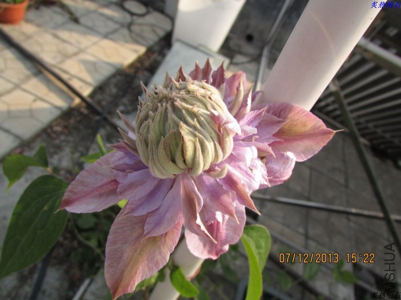 IMG_0546_nEO_IMG.jpg