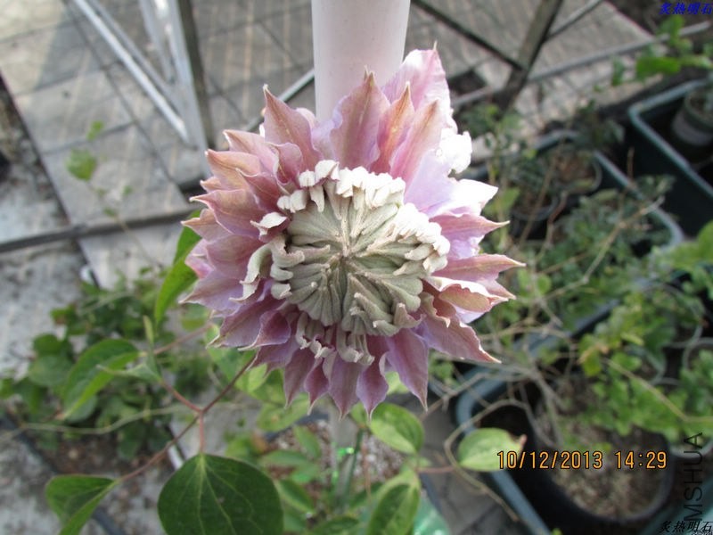 IMG_0581_nEO_IMG.jpg