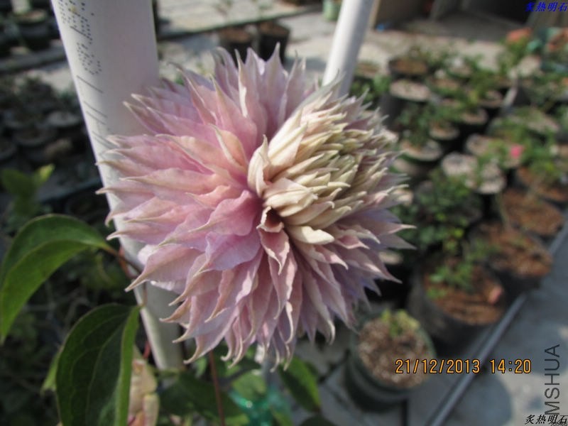 IMG_0643_nEO_IMG.jpg