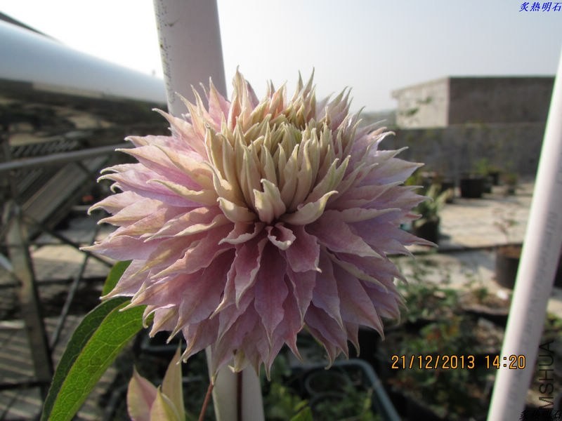 IMG_0644_nEO_IMG.jpg