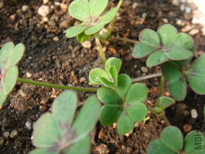 ������С DSC05294.JPG