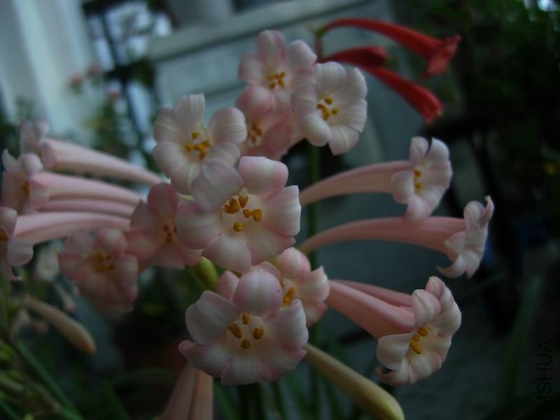 PICT9433.jpg
