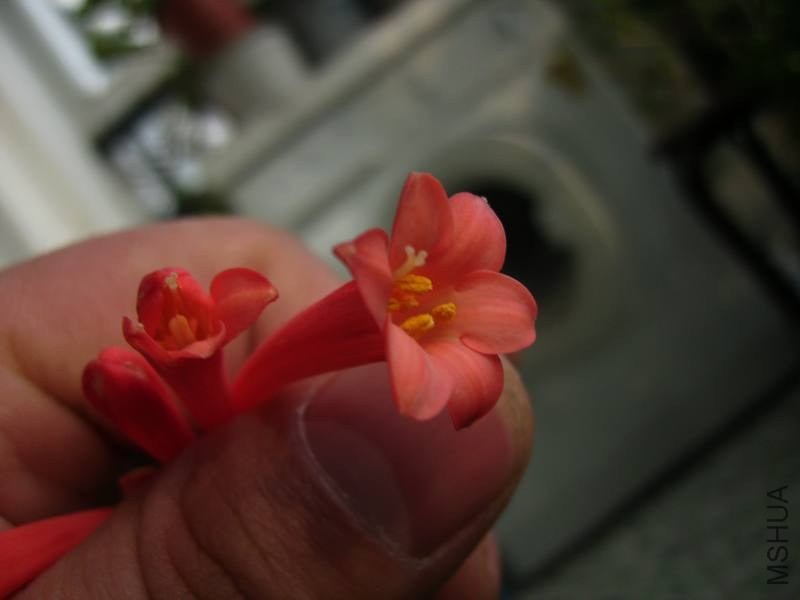 PICT9435.jpg