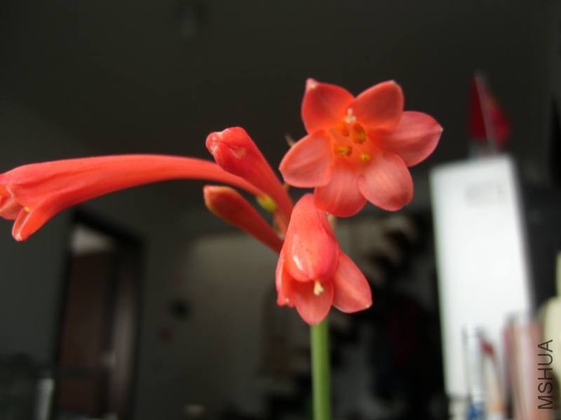 PICT9437.jpg