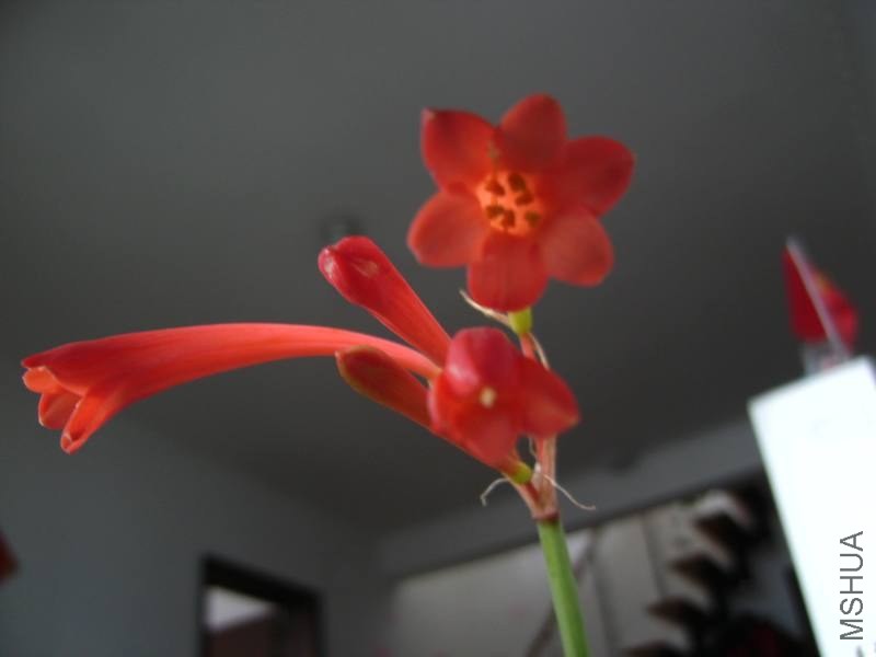 PICT9438.jpg