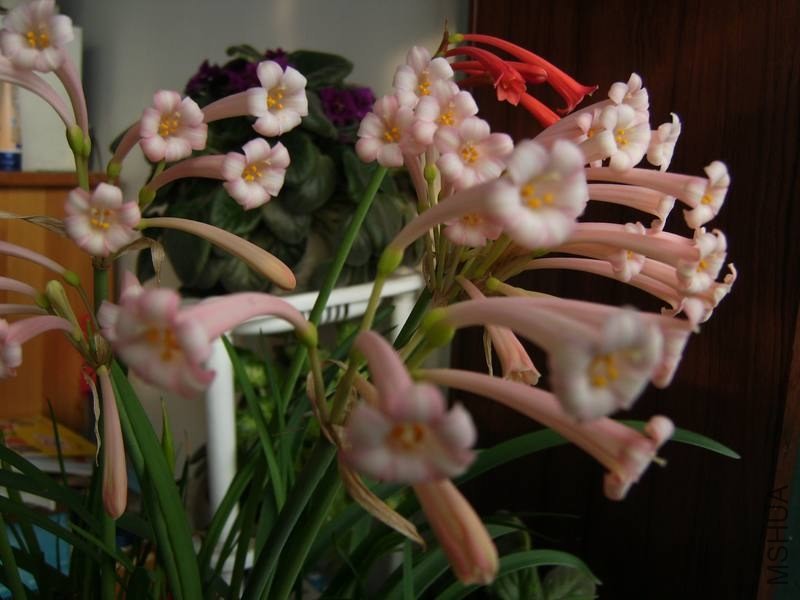 PICT9440.jpg