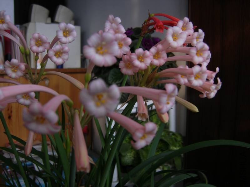 PICT9439.jpg