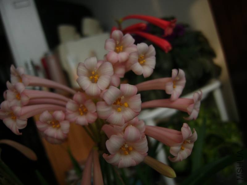PICT9441.jpg