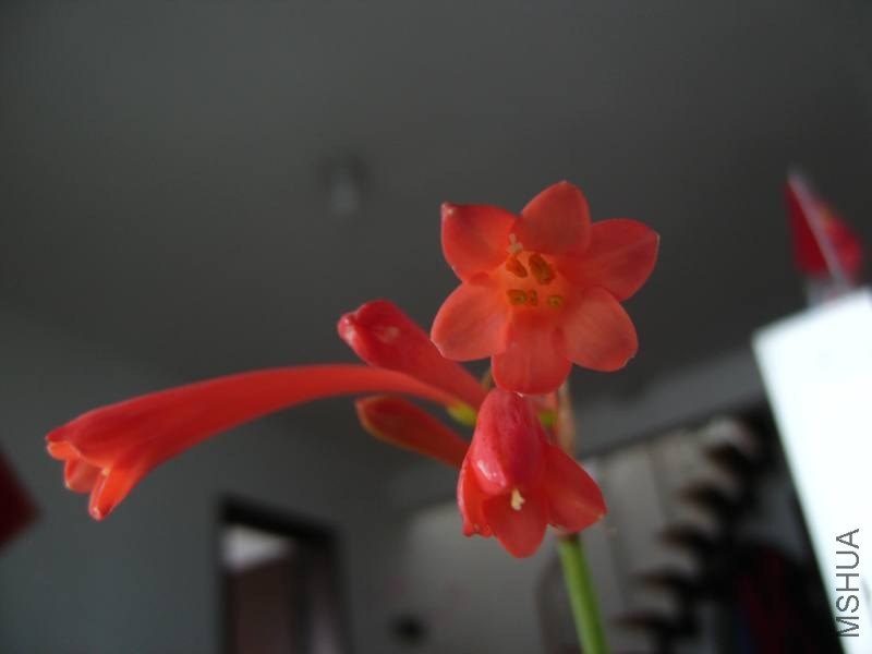 PICT9443.jpg
