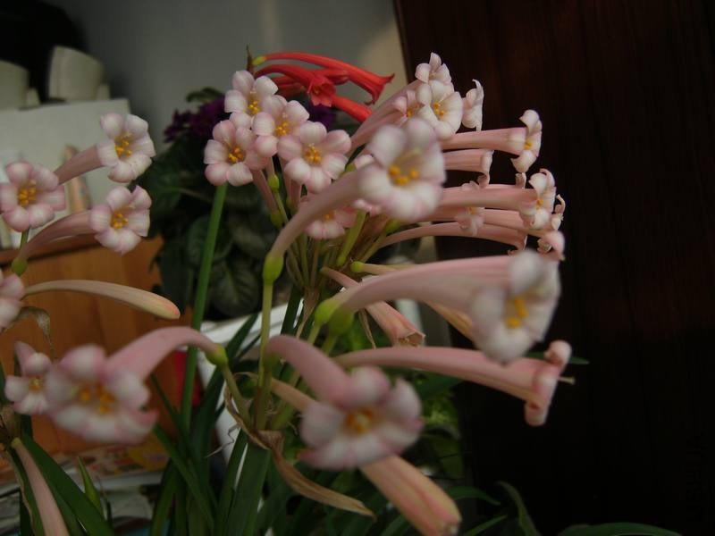 PICT9445.jpg