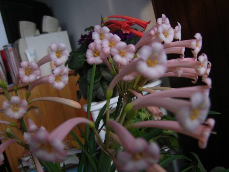 PICT9444.jpg