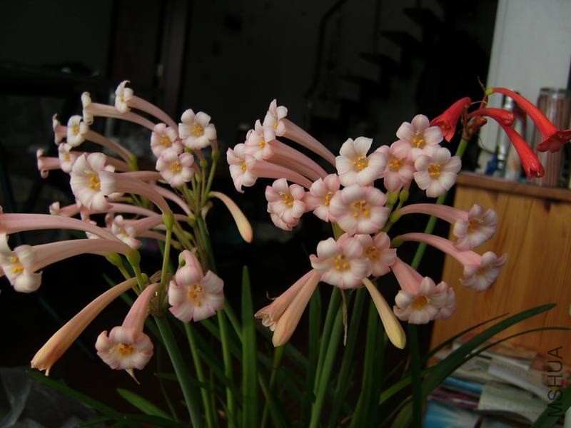 PICT9446.jpg