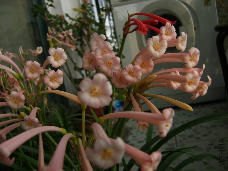 PICT9448.jpg
