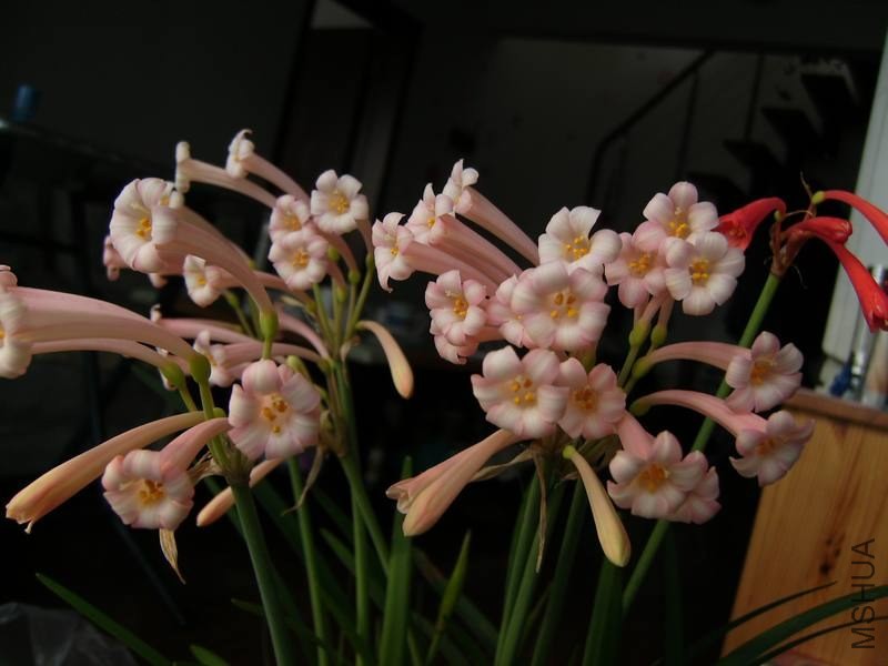 PICT9447.jpg