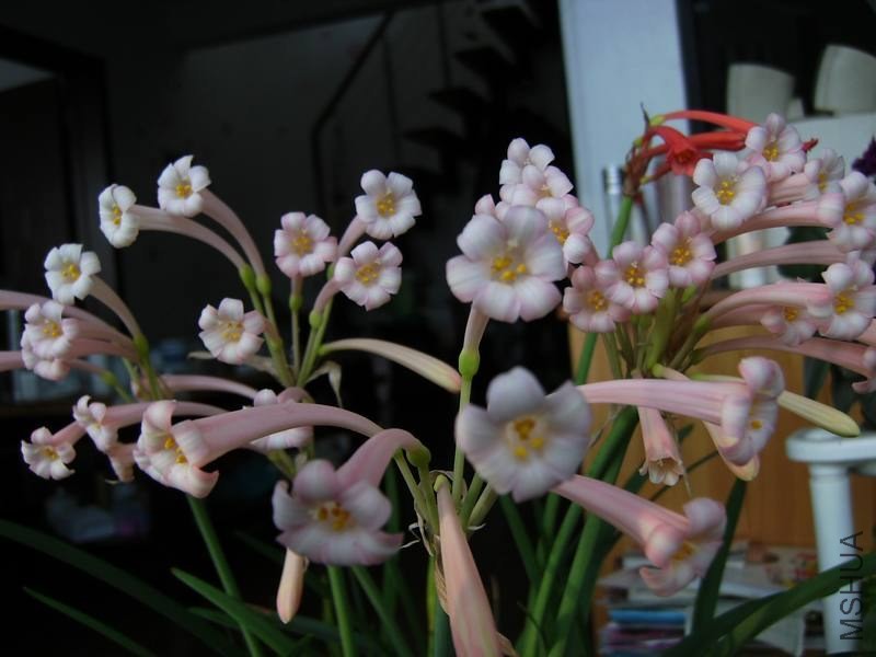 PICT9460.jpg