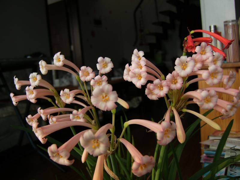 PICT9462.jpg