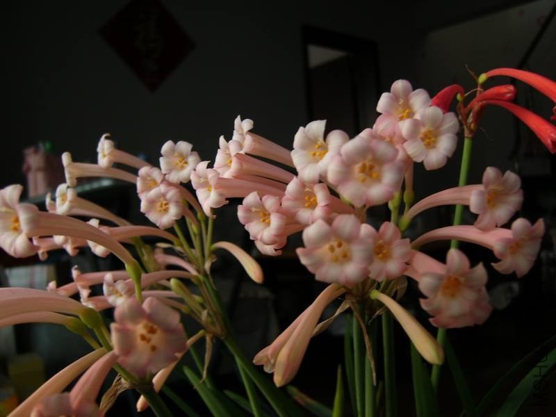 PICT9467.jpg