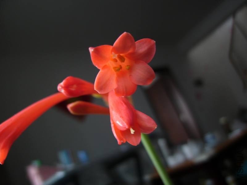 PICT9472.jpg