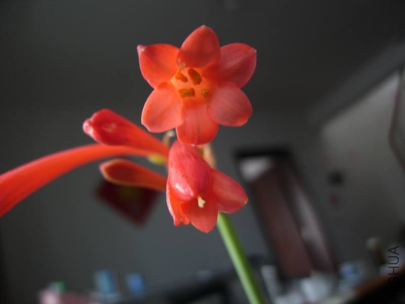 PICT9473.jpg