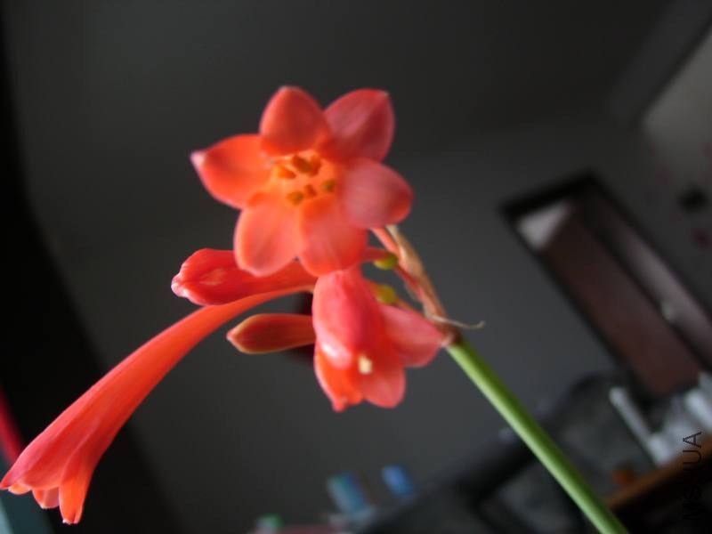 PICT9475.jpg