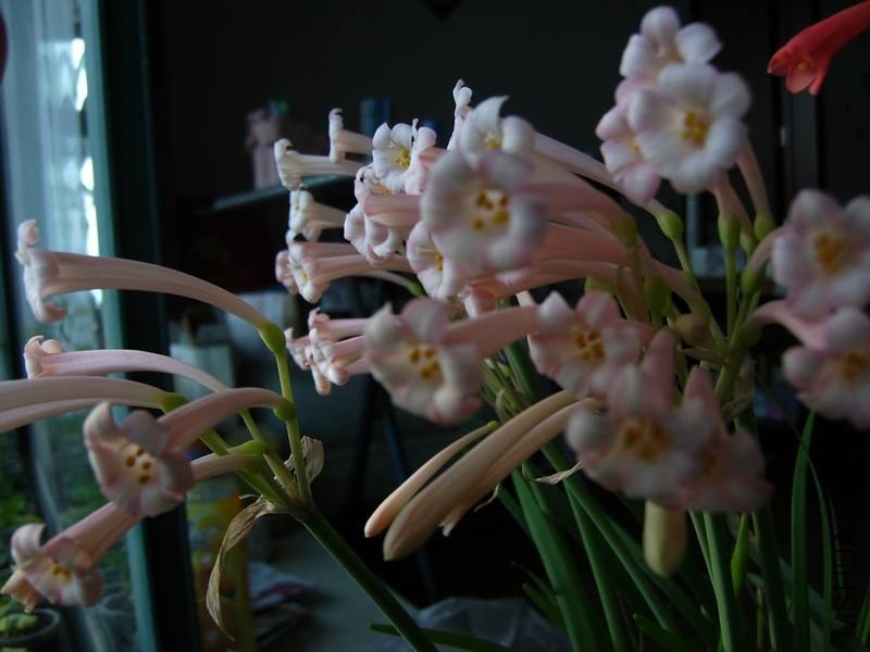 PICT9478.jpg